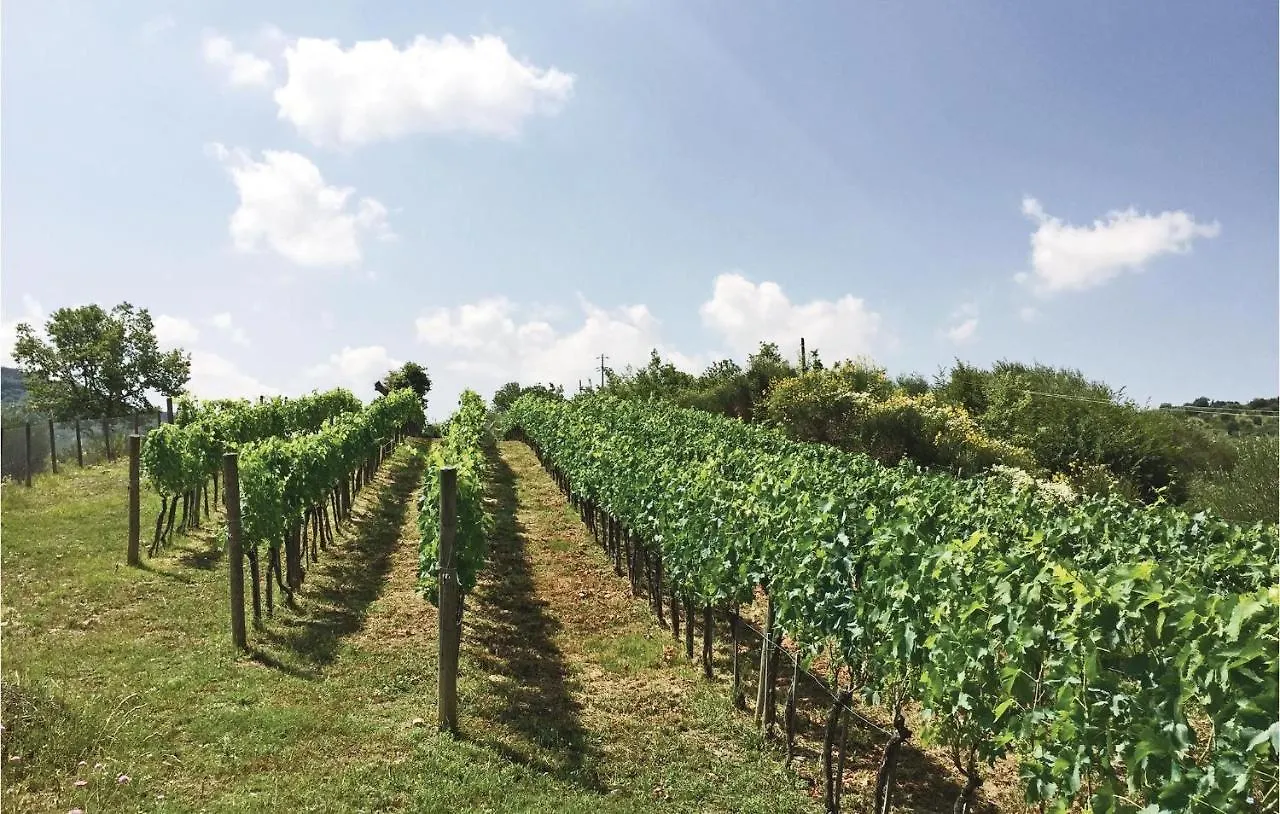 Podere Anteata Montegiovi Holiday home